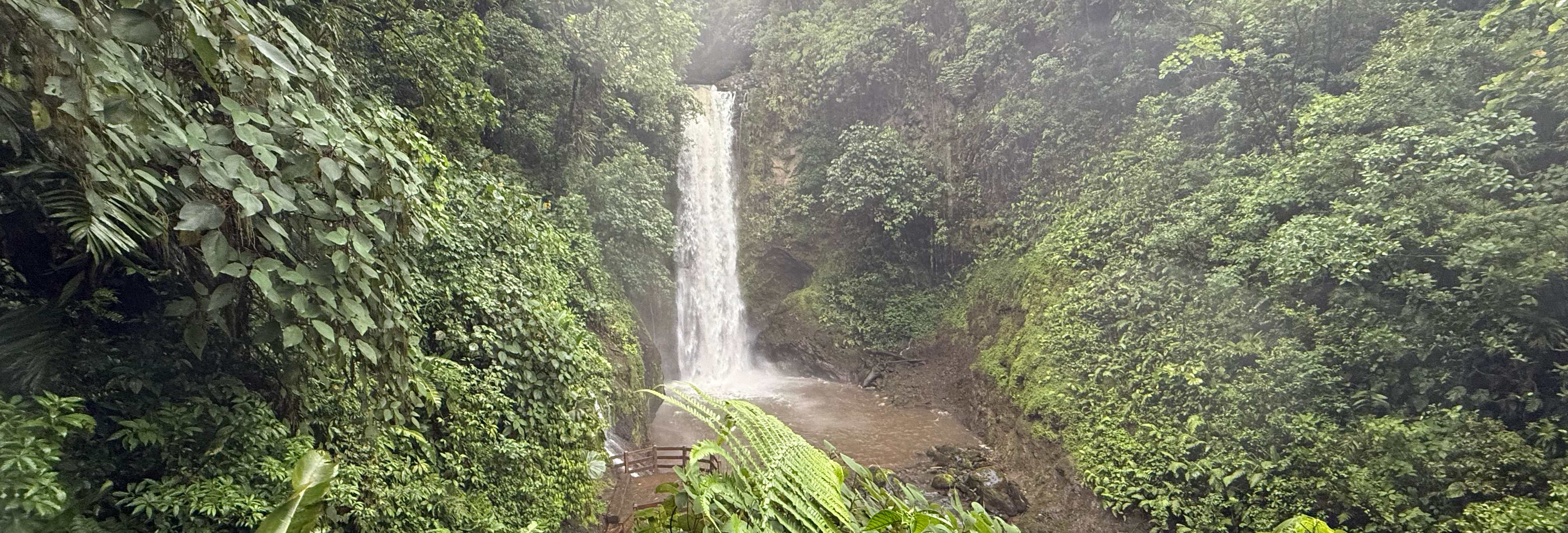 Beautiful tropical waterfall in lush jungle setting